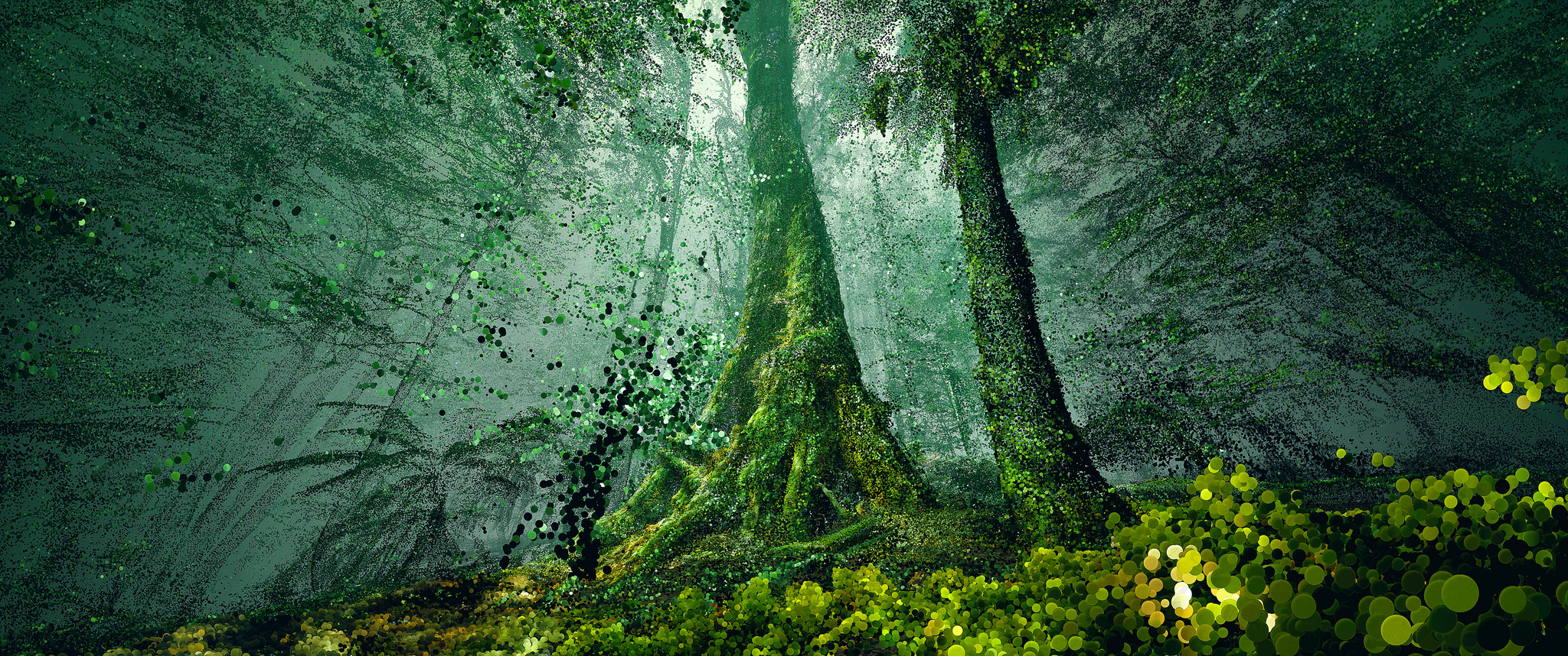 Experience the wonder of the forest as never before