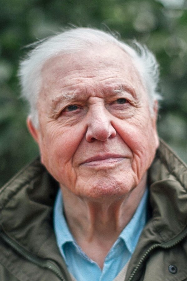 David Attenborough - headshot