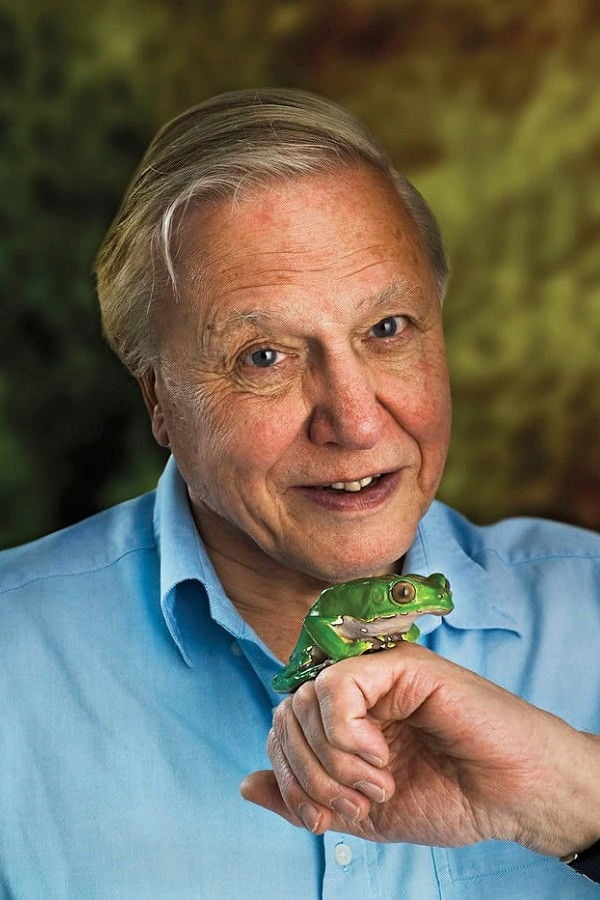 David Attenborough - headshot