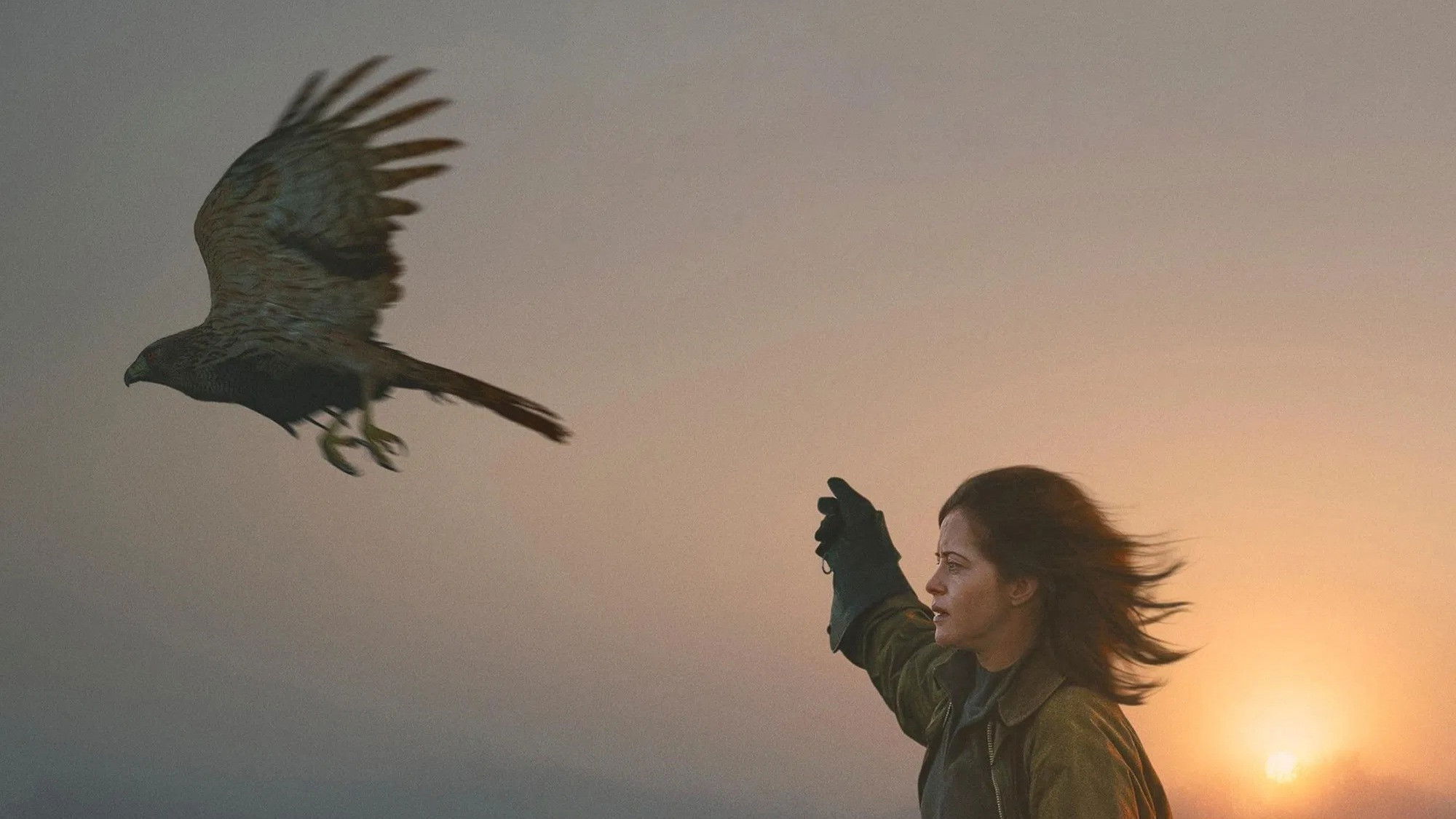 H Is for Hawk
